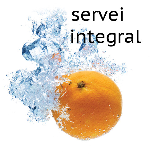 DARLEX-imatges-apartats-integral-cat