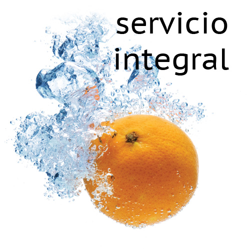 DARLEX-imatges-apartats-integral